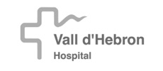 logo_valldhebron